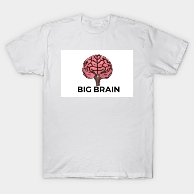 BIG BRAIN T-Shirt by AlmostArt